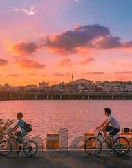 足球比分直播红-足球比分直播红，绿茵烽火中的实时脉动
